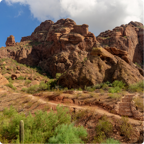 Phoenix AZ Landscape